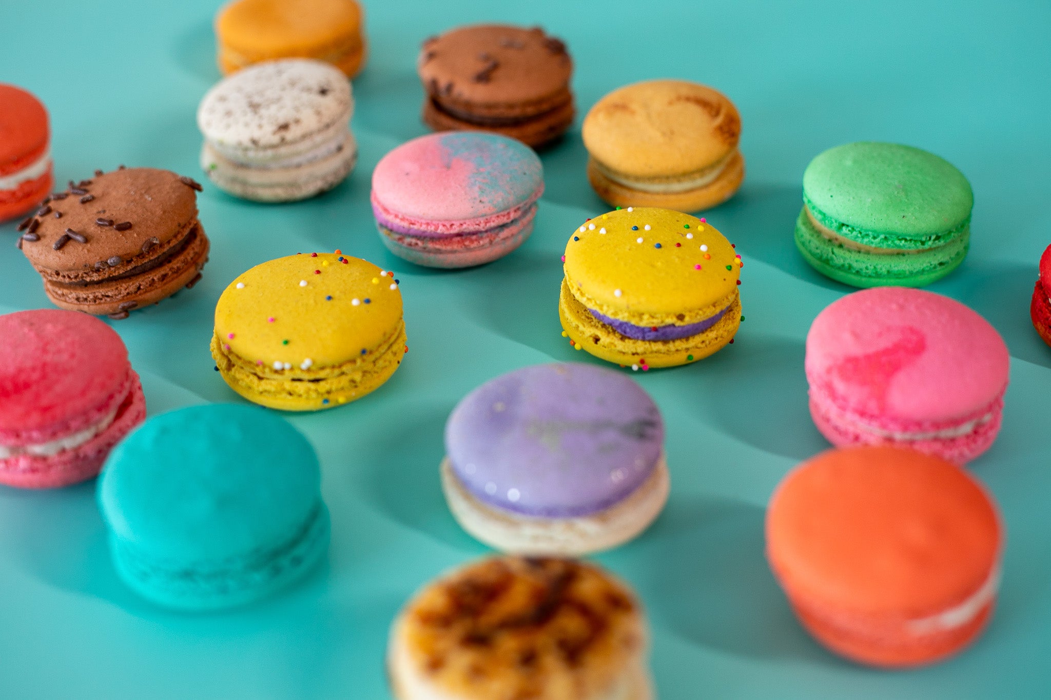 Best Macarons in Spring and The Woodlands | Luliet
